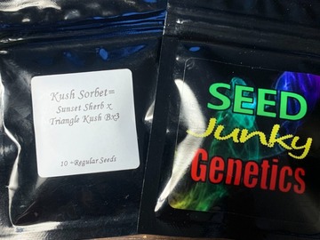 Sell: Seed Junky Genetics - Kush Sorbet