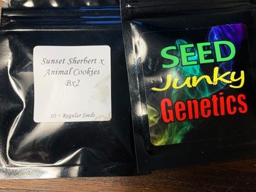 Sell: Seed Junky Genetics - Sunset Sherbert x Animal Cookies Bx2