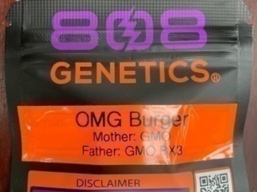 Auction: (AUCTION) OMG Burger from 808