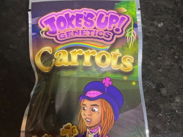 Sell: Carrots By Jokes Up Genetics