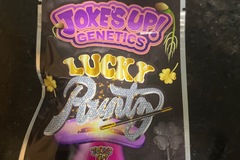 Sell: Lucky Runtz By Jokes Up Genetics