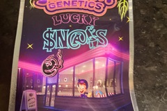 Venta: Lucky Snacks By Jokes up Genetics
