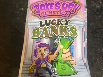 Sell: Lucky Banks By jokes Up genetics