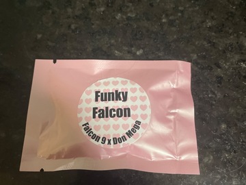Sell: Funky Falcon By Solfire Gardens
