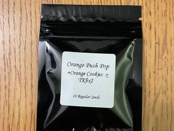 Sell: Orange Push Pop(Orange Cookies x TKbx2)- Seed Junky Genetics