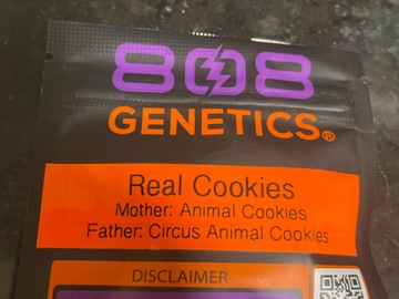 Sell: Real Cookies By 808 Genetics
