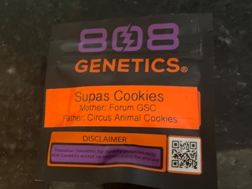 Sell: Supas Cookies By 808 Genetics