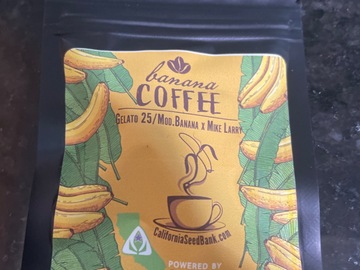 Sell: Banana Coffee By skunk house Genetics