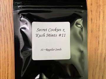 Sell: Secret Cookies x Kush Mints 11 - Seed Junky Genetics