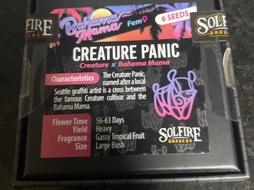 Sell: Creature Panic By Solfire Gardens