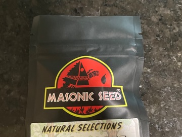 Sell: Moon Boots By Masonic seeds (NS)