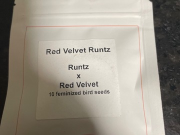 Sell: Red Velvet Runtz By Lit Farms