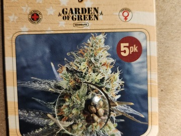 Sell: Candyland by Garden of Green