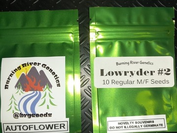 Venta: Lowryder #2 Autoflower 10+ Pack Regular (M/F) Seeds