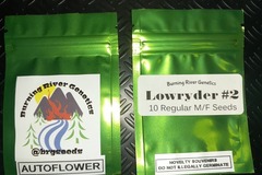 Sell: Lowryder #2 Autoflower 10+ Pack Regular (M/F) Seeds