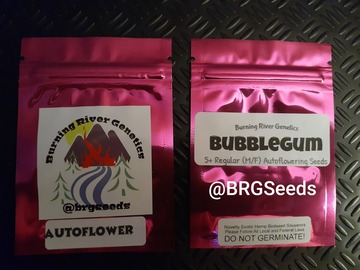 Vente: Bubblegum Autoflower 5+ Pack Regular (M/F) Autoflower Seeds