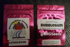 Sell: Bubblegum Autoflower 5+ Pack Regular (M/F) Autoflower Seeds