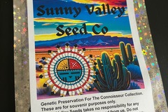 Vente: Golden Haze ~13ct Sunny Valley Seeds