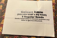 Vente: Golden Haze ~5ct Sunny Valley Seeds