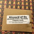 Vente: Blizzard of Oz ~5 ct Sunny Valley Seeds
