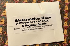 Vente: Watermelon Haze~ 5Ct Sunny Valley Seeds