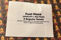 Vente: Fuel Haze ~5Ct Sunny valley Seeds
