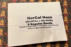 Sell: Nor Cal HAZE~ 5Ct Sunny Valley Seeds