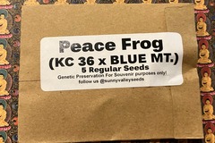 Sell: Peace Frog ~5ct Sunny Valley Seeds