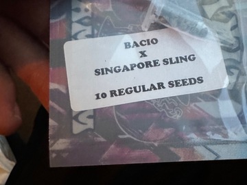 Sell: Bacio x Singapore sling