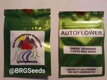 Vente: Green Headband Autoflower 5+ Pack Regular (Male/Female) Seeds