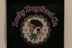 Venta: Lucky Dog Seeds - Western Star