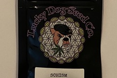 Vente: Lucky Dog Seeds - Schism