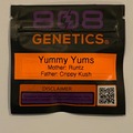Venta: 808 Genetics - Yummy Yums