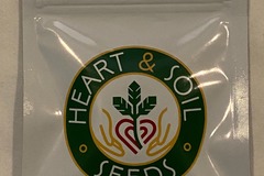 Vente: Heart and Soil Seeds - Pretty Please