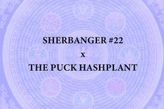 Venta: Sherbanger #22 x The Puck BC3