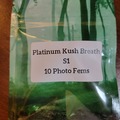 Vente: Platinum Kush Breath S1 - 10 photo fems