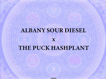 Vente: Albany Sour Diesel x THE PUCK BC3