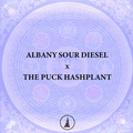 Venta: Albany Sour Diesel x THE PUCK BC3