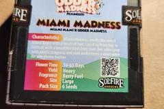 Miami Madness by Solfire Gardens