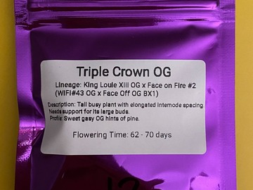 Venta: Eclectic Elegance - Triple Crown OG