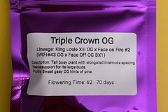 Sell: Eclectic Elegance - Triple Crown OG