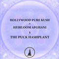 Sell: Hollywood Pure Kush x Afghani x The PUCK