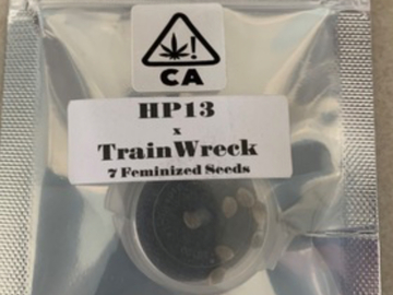 Venta: CSI Humboldt- HP13 x Trainwreck