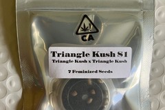 Vente: Triangle Kush S1 from CSI Humboldt