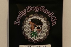 Venta: Lucky Dog Seeds - Guerilla Fume