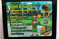Vente: Ben & Gary's from Exotic Genetix