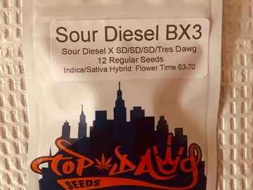 Vente: Topdawg Seeds - Sour Diesel BX3
