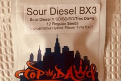 Vente: Topdawg Seeds - Sour Diesel BX3