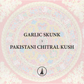 Venta: Garlic Skunk x Pakistani Chitral Kush - Golden Coast