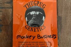 Vente: Thug Pug - Monkey Business